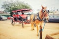 Elegant horse-drawn carriage in French Quarter