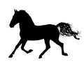 Elegant horse in gallop, vector silhouette illustration.