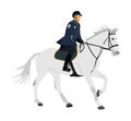 Elegant horse with jockey vector illustration isolated on white background. Police man riding horse. Hippodrome sport event.