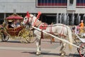 Elegant horses harnessed to carriages. Russia day, Russia, Ulyanovsk, June 12, 2017