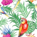 Macaws Parrots Exotic Birds and Nature Summer Vector Seamless Pattern Textile Design Royalty Free Stock Photo