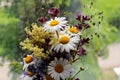 Elegant ikebana from wildflowers in a vase. Royalty Free Stock Photo