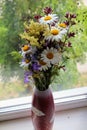 Elegant ikebana from wildflowers in a vase. Royalty Free Stock Photo