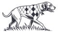 Elegant Dog with Argyle Sweater Pattern, Fashionable Pet, vector design Generative AI Royalty Free Stock Photo