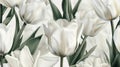 Elegant Image of White Tulips with Long Green Leaves on White Background, Embracing Simplicity