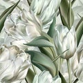 Elegant Image of White Tulips with Long Green Leaves on White Background, Embracing Simplicity