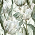 Elegant Image of White Tulips with Long Green Leaves on White Background, Embracing Simplicity