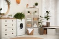 Elegant interior of bathroom with green plants Royalty Free Stock Photo