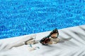 Elegant jewellery set of gold earrings and ring with blue topaz with sunglasses near swimming pool with transparent water as a