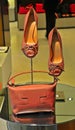 Elegant ladies shoes and handbag