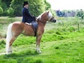 A lady riding side saddle Royalty Free Stock Photo