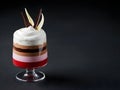 Elegant Layered Dessert in a Glass with Chocolate and Fruit Royalty Free Stock Photo