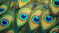 elegant leather colorful peacock feather background. Generative Ai