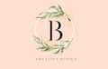 Elegant Letter B Logo Design With Waterbrush leafs and Simple Elegant Serif Letter