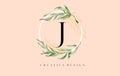 Elegant Letter J Logo Design With Waterbrush leafs and Simple Elegant Serif Letter