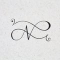 Elegant letter N monogram.