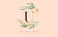 Elegant Letter U Logo Design With Waterbrush leafs and Simple Elegant Serif Letter