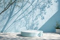Elegant light blue backdrop with tree shadows Royalty Free Stock Photo