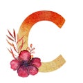 Elegant light colorful watercolor hand drawn ampersand alphabet. Letter C with paradise flower