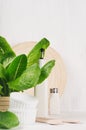 Elegant light kitchen interior with wooden utensils, ceramics and green leaves greens on white wood shelf. Royalty Free Stock Photo