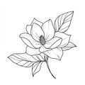Magnolia Flower Line Art, Black and White Botanical Sketch Royalty Free Stock Photo