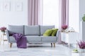 Elegant living room with big comfortable grey couch with olive green pillows and violet blanket in the middle