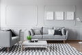 Elegant living room with two comfortable grey sofas with pillows and graphic on the wall