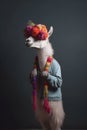 Elegant Llama with Flowers on Head Wearing Scarf on Gray Background - AI-Generated Stock Photo