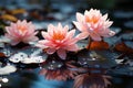 Elegant Lotus Flowers Floating on Serene Waters. Captivating Rhythms of Peace and Serenity