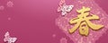 Elegant lunar year banner