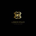 Elegant and luxurious stylish gold frame, logo for cosmetics, jewelry, spa and beauty, vector design logo