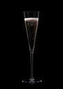 Elegant luxury glass with pink rose champagne with bubbles on black Royalty Free Stock Photo