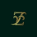 Elegant and luxury initial line Z Royalty Free Stock Photo