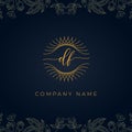 Elegant luxury letter DF logo