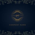 Elegant luxury letter VE logo