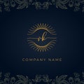 Elegant luxury letter VK logo