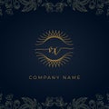 Elegant luxury letter VX logo