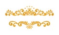 Elegant luxury vintage gold floral border