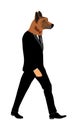 Elegant macho man with dog head. Confident leader standing. Businessman vector illustration. Handsome man in black suite.