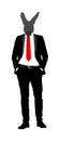 Elegant macho man with kangaroo head. Confident leader standing. Businessman vector illustration. Handsome man in black suite.