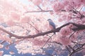 Elegant and Majestic Bird Perched on Blossoming Apple Tree Branch in Tranquil Spring Garden