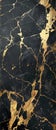 Elegant Marble. Black and Gold grungy textured wall with gold flakes on the ground.