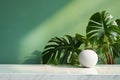 Elegant marble counter with lush monstera