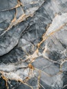 Elegant Marble Wall Royalty Free Stock Photo