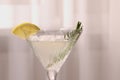 Elegant martini glass with fresh cocktail, rosemary and lemon slice on blurred background, closeup