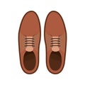 Elegant masculine pair shoes