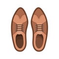 Elegant masculine pair shoes