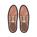 Elegant masculine pair shoes