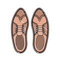 Elegant masculine pair shoes