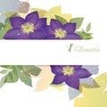 Background of the clematis flower illustration.